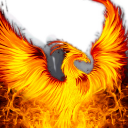The Phoenix Vanguard